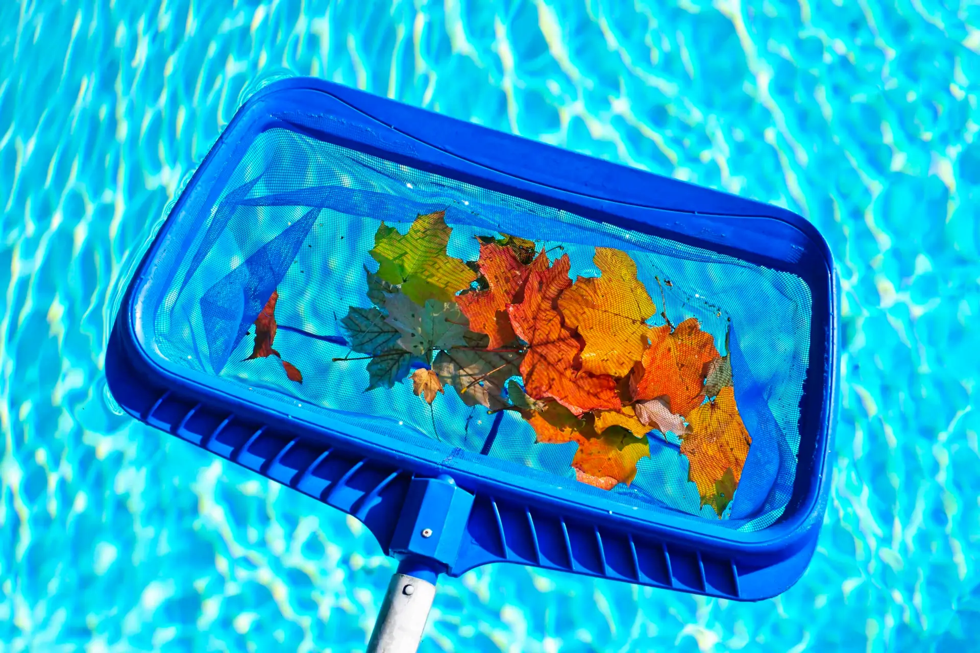 How to Clean a Swim Spa